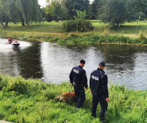 Mężczyzna WSKOCZYŁ do Drwęcy na terenie Brodnicy. Trwa akcja poszukiwawcza