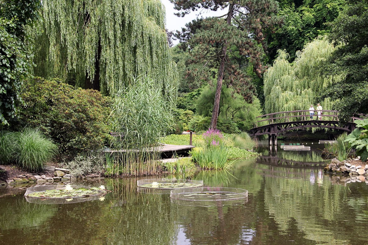 7 najładniejszych ogrodów botanicznych w Polsce. Kiedy je odwiedzić i gdzie są?
