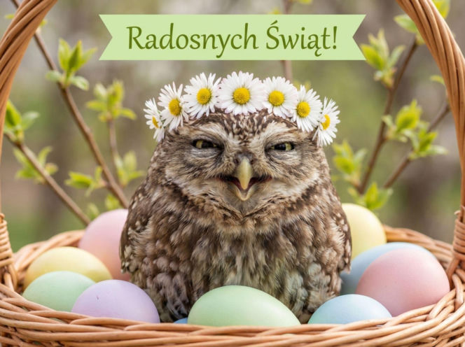 Wielkanoc2026-mala-sowa-w-koszyku