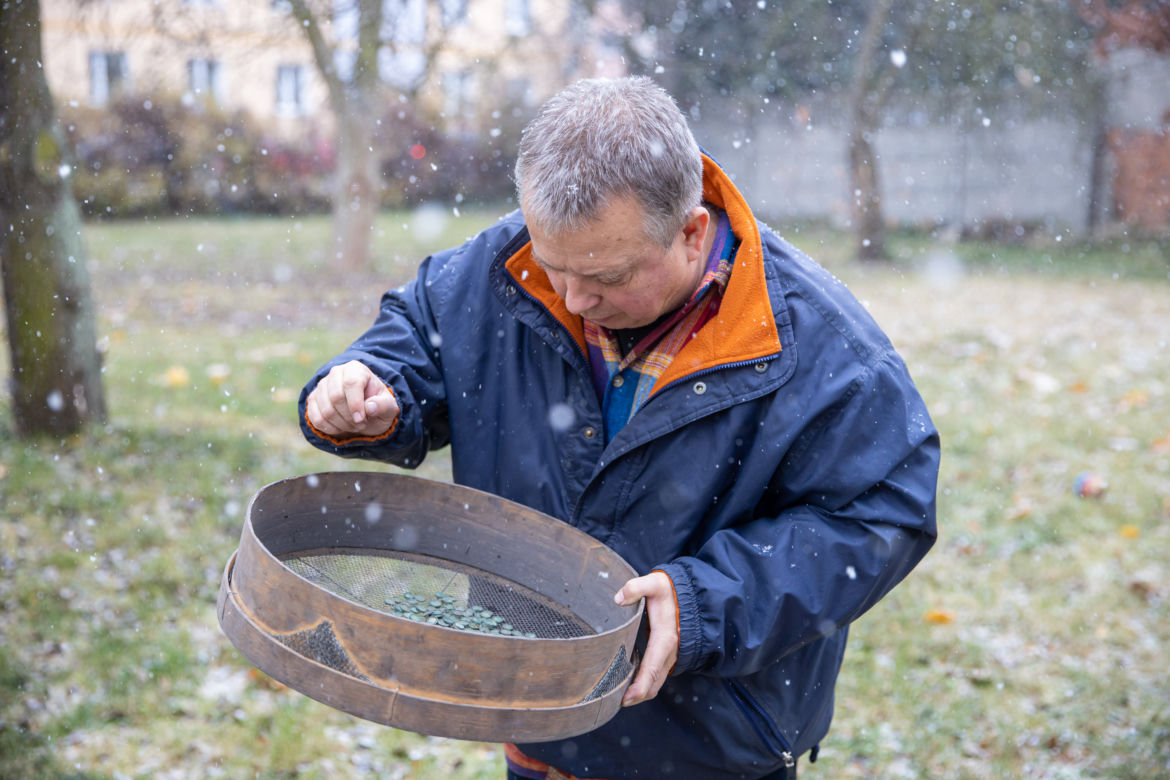 Skarb w polu kukurydzy