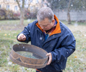 Skarb w polu kukurydzy
