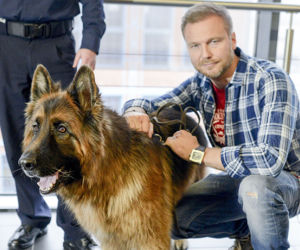 Kogo wybierze Alex?