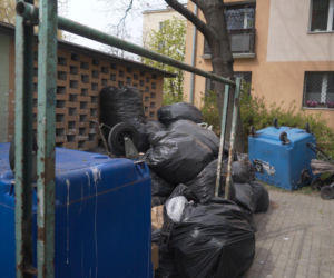 „Cały Grochów w szczurach!”. Mieszkańcy prawobrzeżnej Warszawy ponownie toną we własnych śmieciach