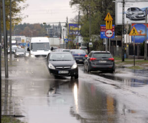 Warszawa - jezioro na Wale Miedzeszynskim (2)