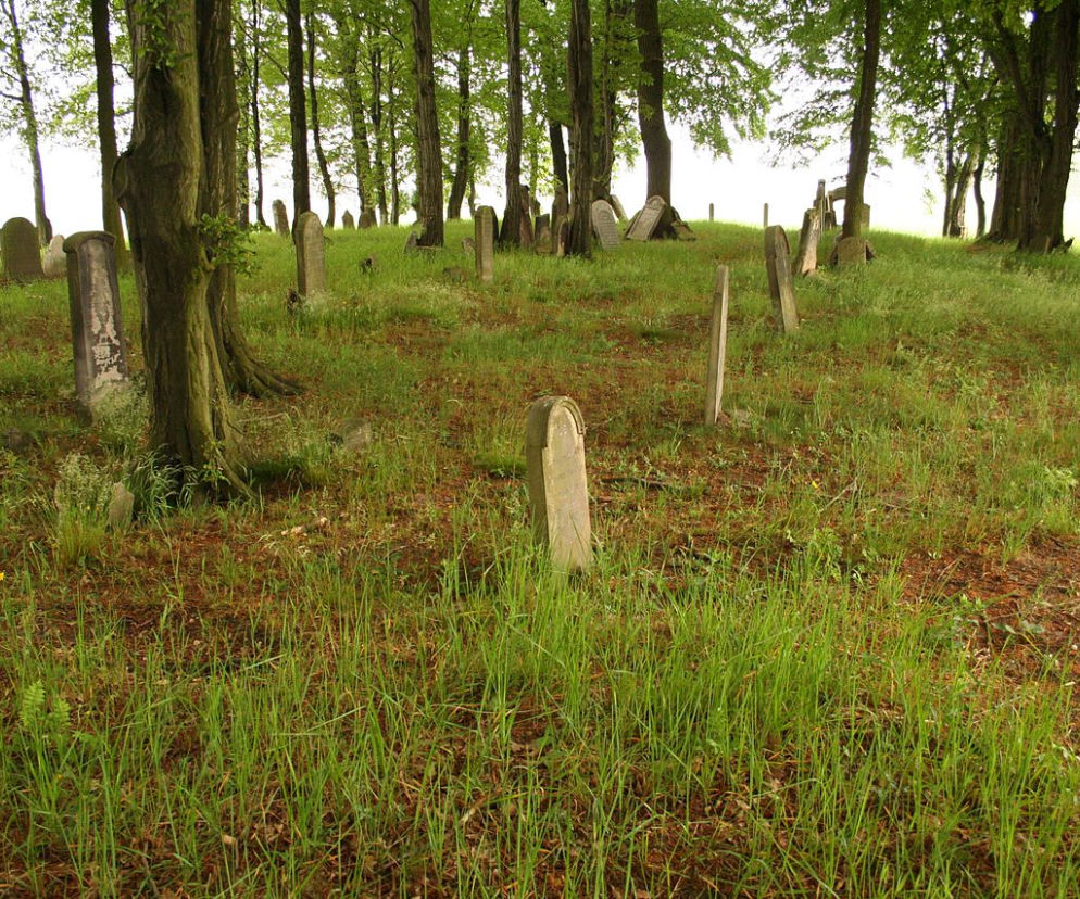 cmentarz żydowski