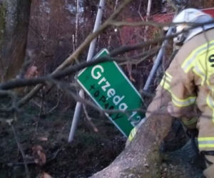 Wichura na Warmii i Mazurach. Silny wiatr łamał drzewa