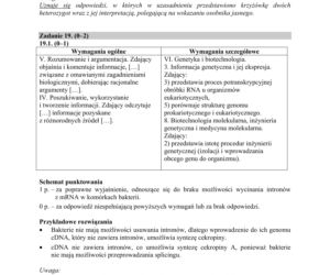 Matura 2018 z biologii [ARKUSZE CKE, ODPOWIEDZI]