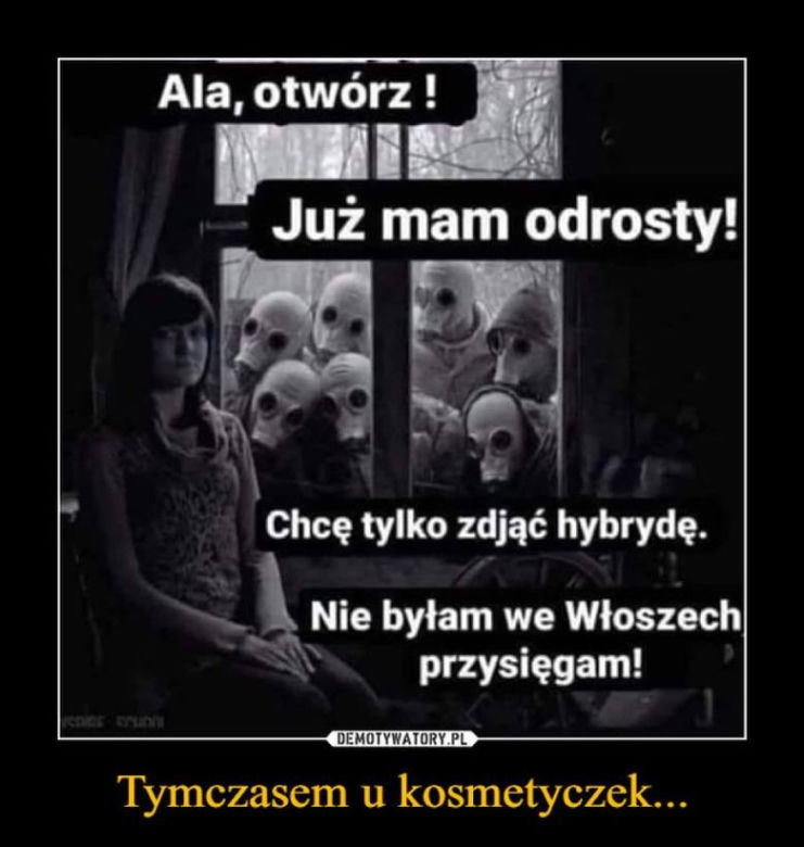Fryzjerzy na kwarantannie: MEMY. W oczekiwaniu, kiedy otworzą salony fryzjerskie
