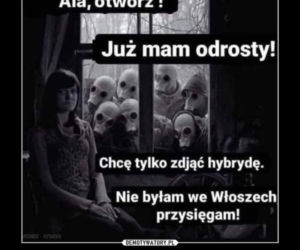 Fryzjerzy na kwarantannie: MEMY. W oczekiwaniu, kiedy otworzą salony fryzjerskie