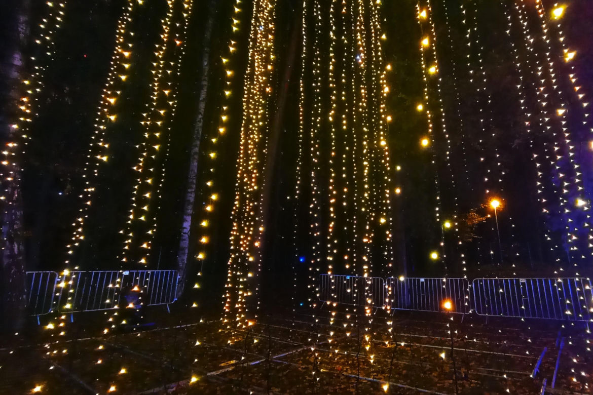 Garden of Lights w Szczecinie