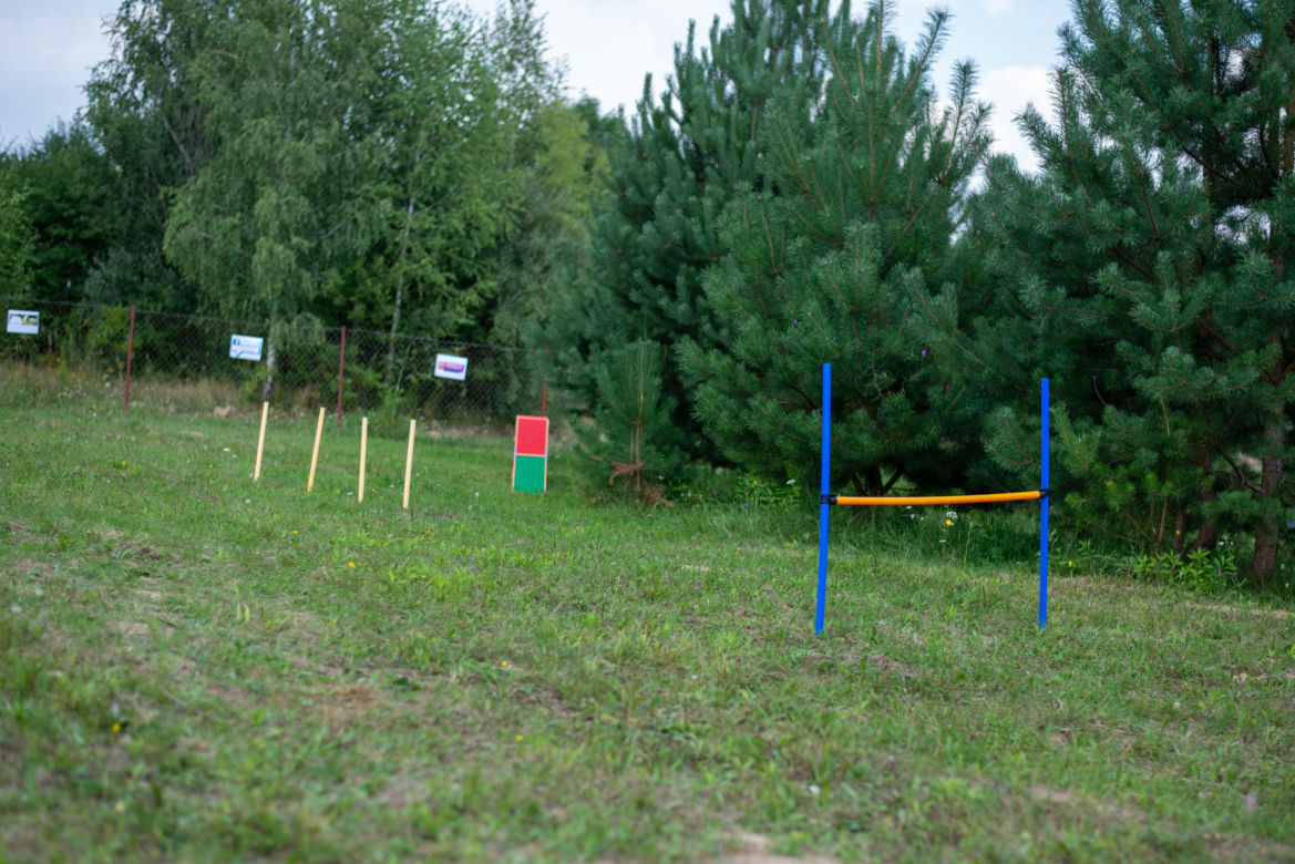 Wybieg dla psów w schronisku dla bezdomnych zwierząt w Zamościu