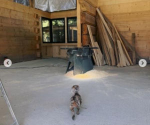 Paulina Krupińska, Sebastian Karpiel-Bułecka