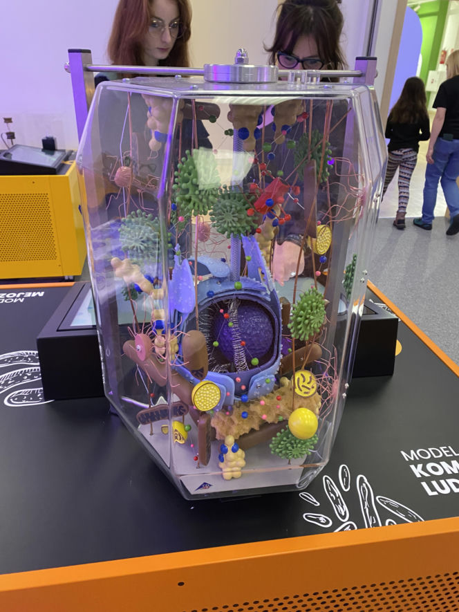 15. Noc Biologów w Olsztynie