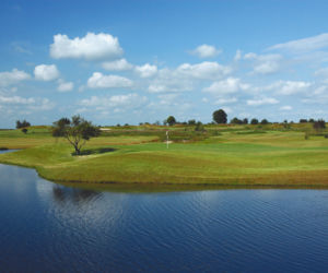 TOYA_GOLF_01.jpg