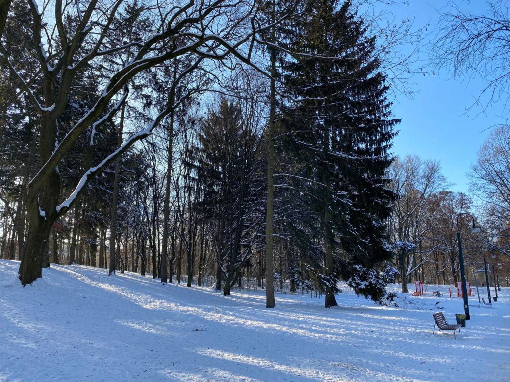 Śnieżna zima w Parku Praskim
