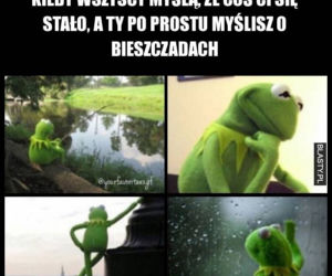 Memy o Bieszczadach