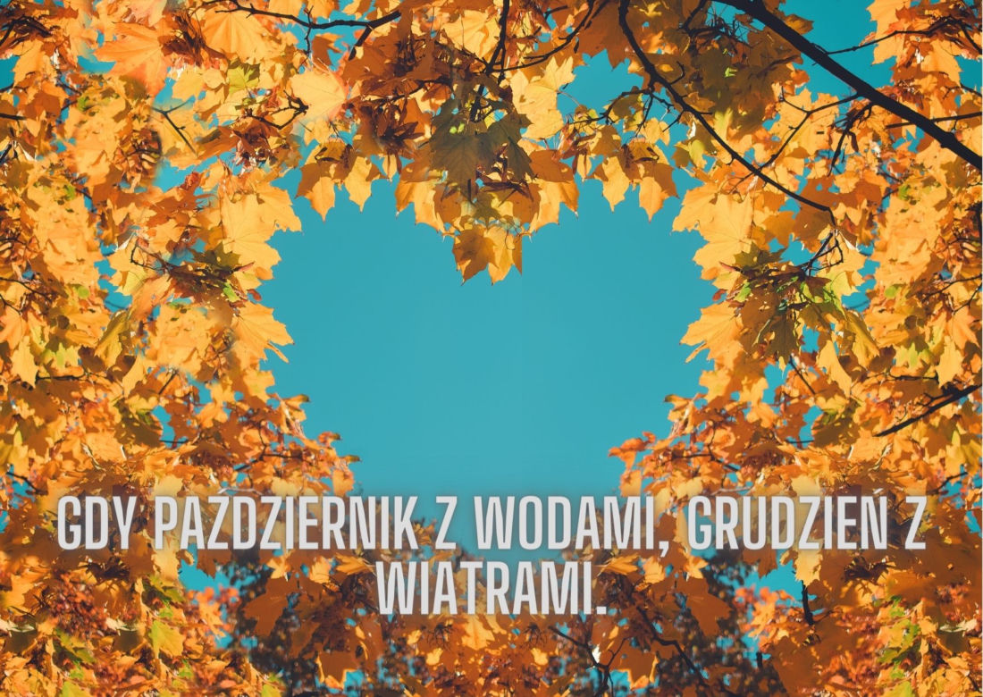 Jesienne przysłowia ludowe. Oto mądrości naszych dziadów!
