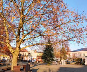 Chmielnik. Woj. świętokrzyskie