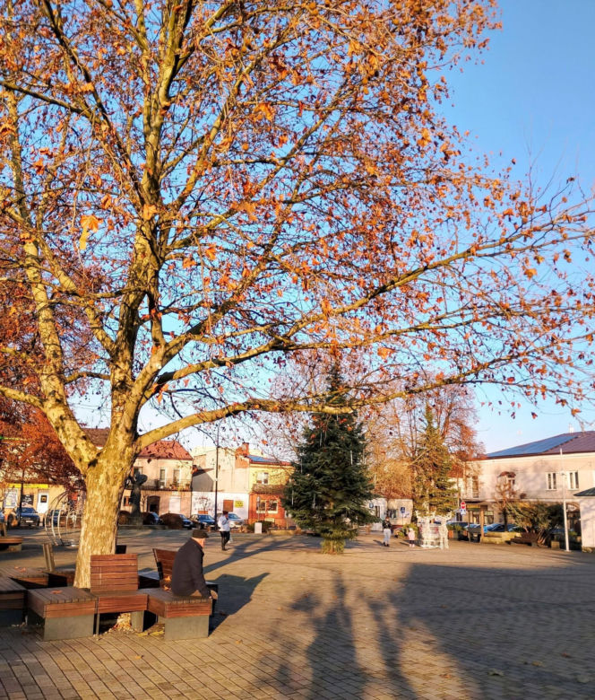 Chmielnik. Woj. świętokrzyskie