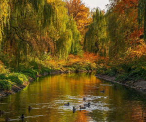 Najdłuższa nazwa rzeki w Śląskiem przyciąga uwagę geografów