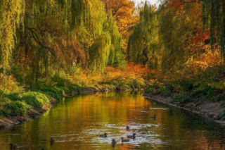 Najdłuższa nazwa rzeki w województwie śląskim. Jej źródło zaczyna się na przepięknej wyżynie