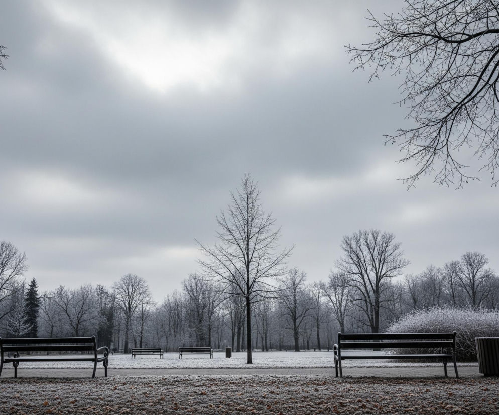 Park zimą, pokryty szronem i lekkim śniegiem, dominuje szarość nieba i bieli, przełamana ciemnymi odcieniami drzew i ławek. Bezlistne gałęzie drzew tworzą ciemne, gęste wzory, zwłaszcza na tle jasnego, zachmurzonego nieba, które jest najjaśniejsze w górnej centralnej części kadru. Szeroka ścieżka spacerowa przecina park, wzdłuż której rozmieszczone są ciemne ławki i kosze na śmieci.