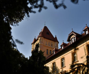 Zamek w Osiecznej