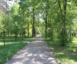 Park Zdrojowy Kraków Swoszowice