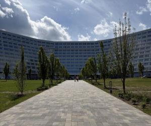 Hotel Gołębiewski tonie w zieleni. Posadzili 3900 drzew!