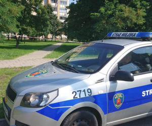 Groza na Ostrobramskiej. Na chodniku leżał ogromny rój pszczół