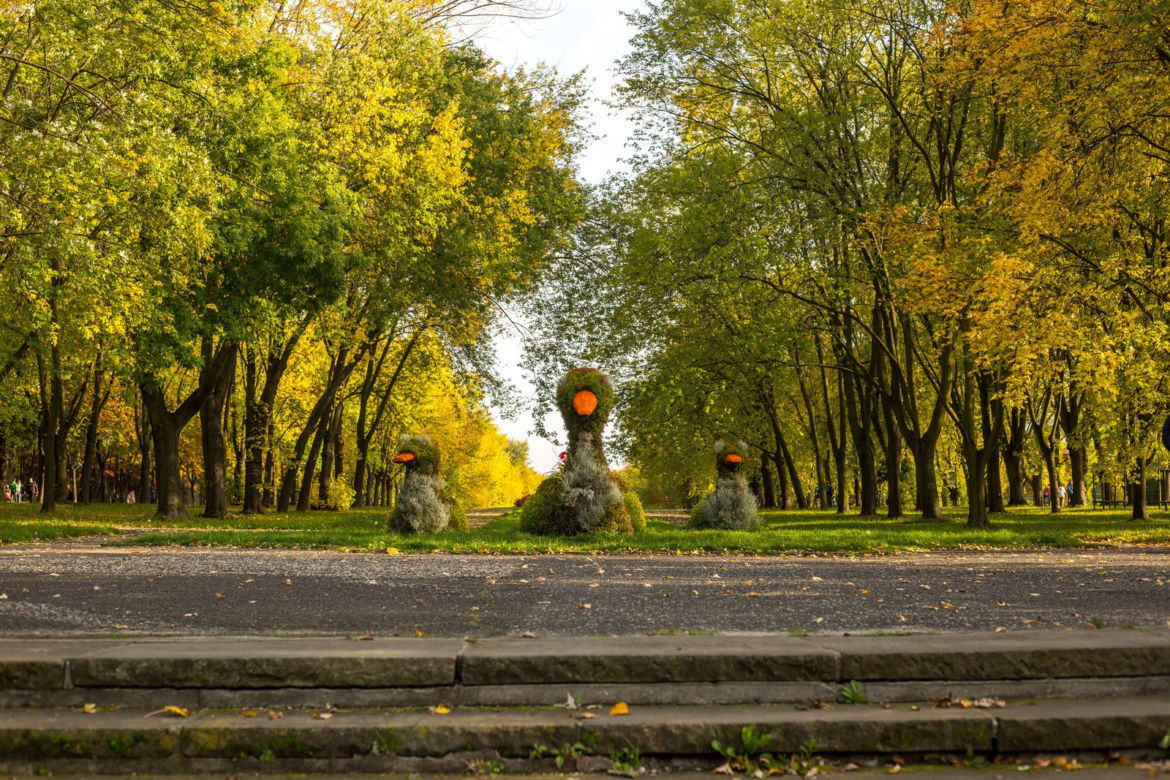 Park Śląski jesienią jest naprawdę piękny