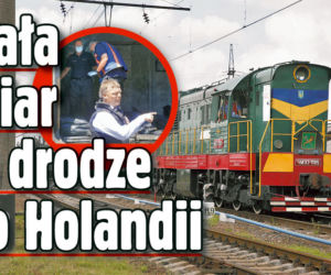 Ciała ofiar w drodze  do Holandii