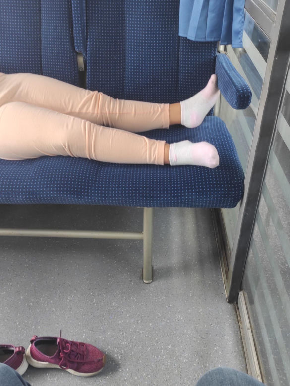 Smród w pociągach i autobusach 