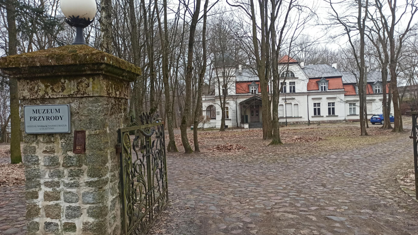 Muzeum Przyrody w Olsztynie. Poznajcie faunę oraz florę Warmii i Mazur