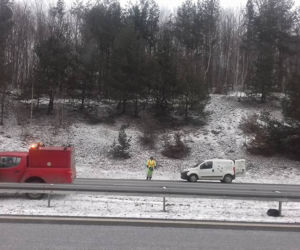 Ranny pies zamarzał na środku autostrady. Przez dwie godziny nie otrzymał żadnej pomocy [AUDIO, ZDJĘCIA]