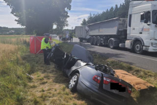 Śmiertelny wypadek koło Bełchatowa. Seat rozpadł się na kawałki [ZDJĘCIA]