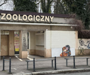 Artysta namalował mural z małpką Punch i wpadł w kłopoty! Zaskakujący finał