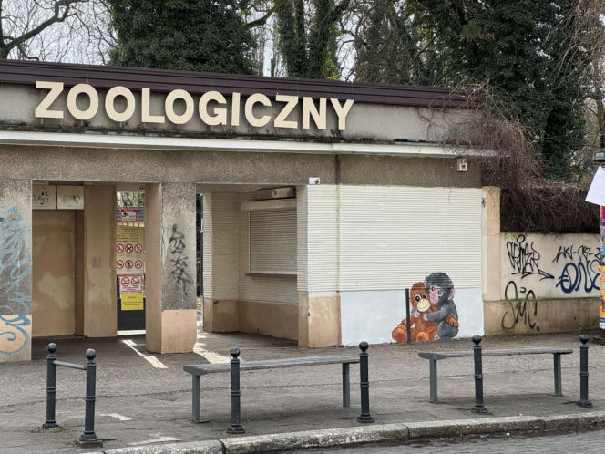 Artysta namalował mural z małpką Punch i wpadł w kłopoty! Zaskakujący finał