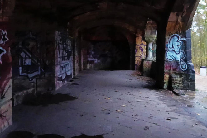 Teren wokół Wieży Quistorpa został uporządkowany