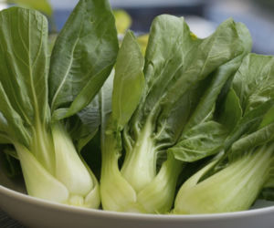 Kapusta pak choi