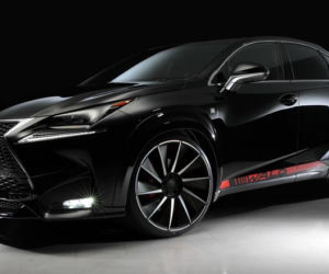 Lexus NX by Wald International