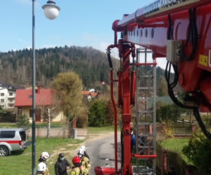 Nietypowa akcja strażaków pod Muszyną. Dostarczyli bocianowi jedzenie do gniazda