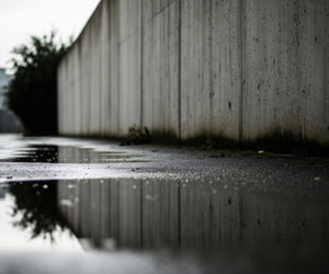 Schronisko zaatakowane w Zaporożu. Ile zwierząt padło ofiarą rosyjskich dronów?