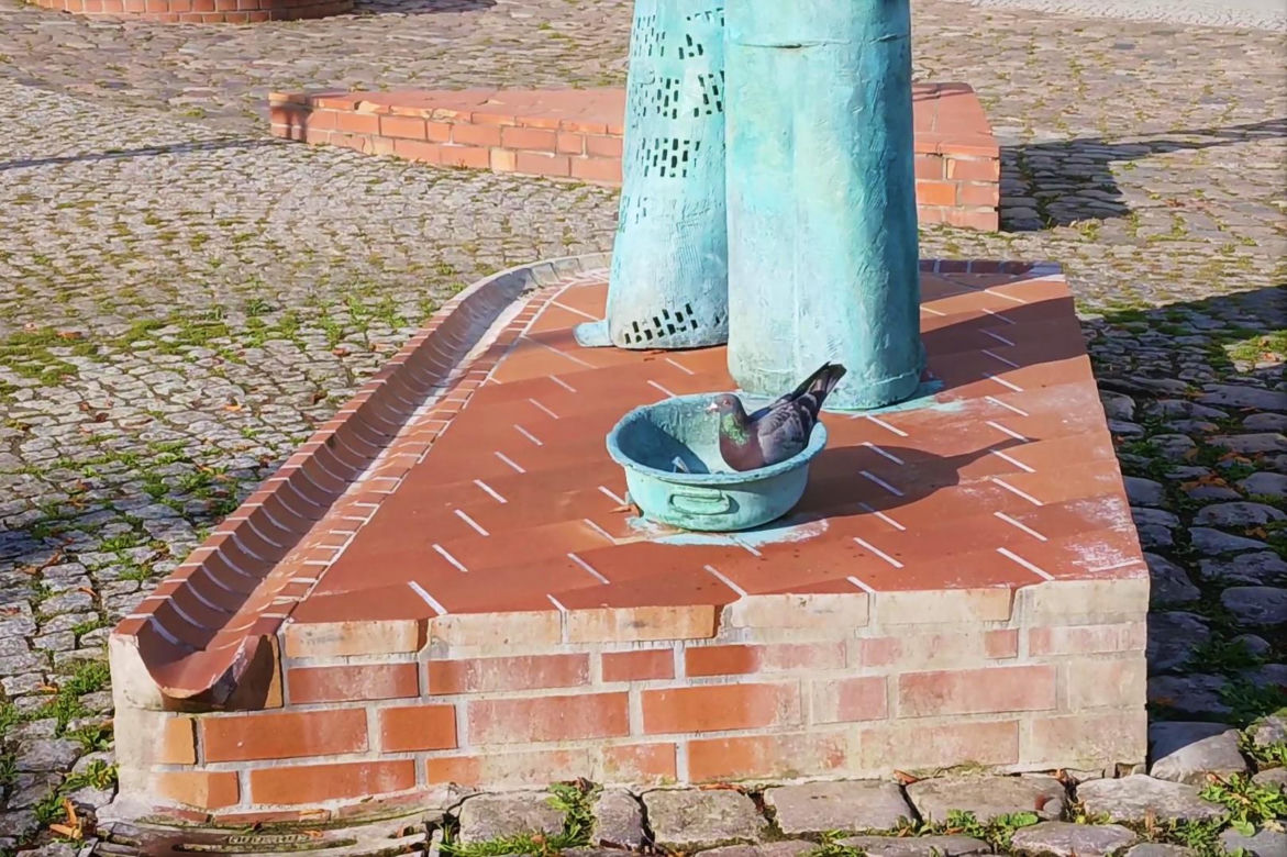 Angermünde