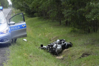 Dubie. Sarna wyskoczyła na drogę, wprost na motocyklistę