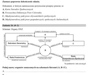 Matura 2019. Wiedza o społeczeństwie. Arkusze CKE WOS rozszerzony