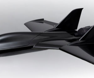 Alta Ares Black Bird