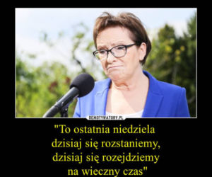 Internet śmieje się w wyborów