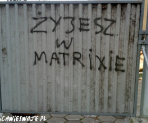 Napisy na łódzkich murach: Sztuka czy wandalizm? Ulica wie swoje...