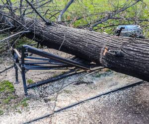 Wichura na Dolnym Śląsku. Uszkodzone dachy, powalone drzewa. Ponad 300 interwencji straży